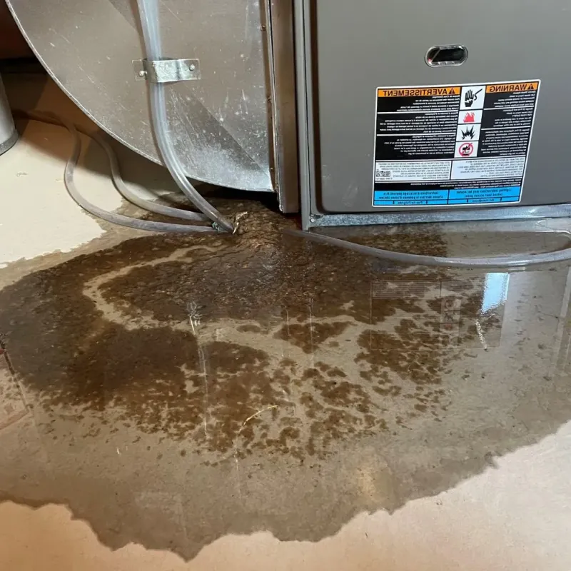 Pipe Burst and Leak Restoration in Greene County, OH