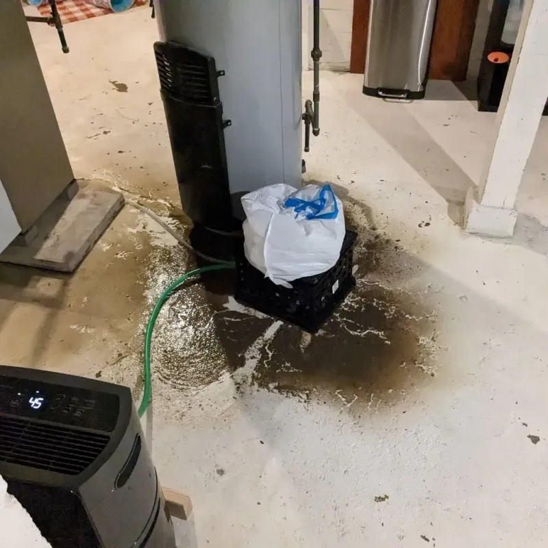 Sewage Backup Cleanup Service in Greene County, OH
